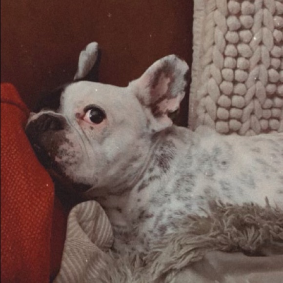 kinleytruax